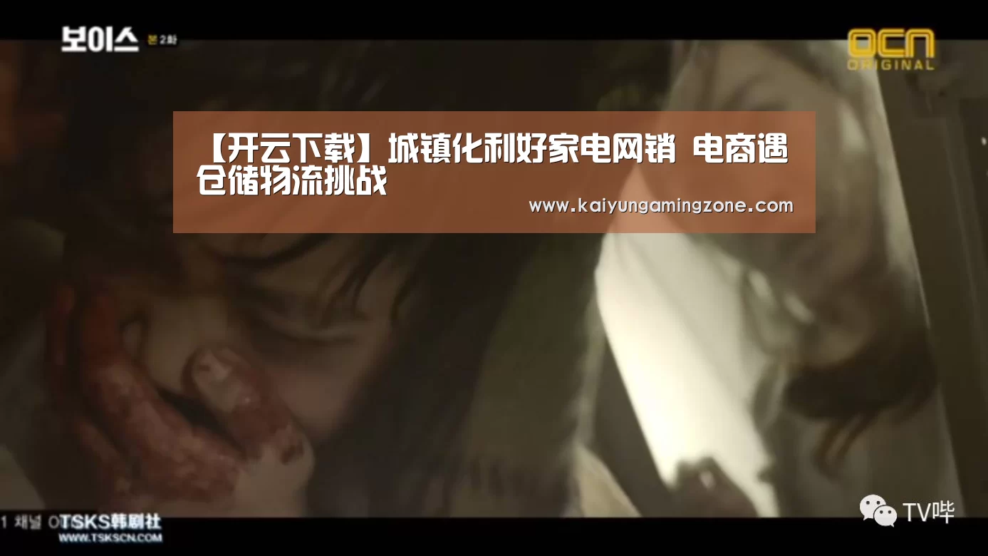 【开云下载】城镇化利好家电网销 电商遇仓储物流挑战(图3) 开云足球