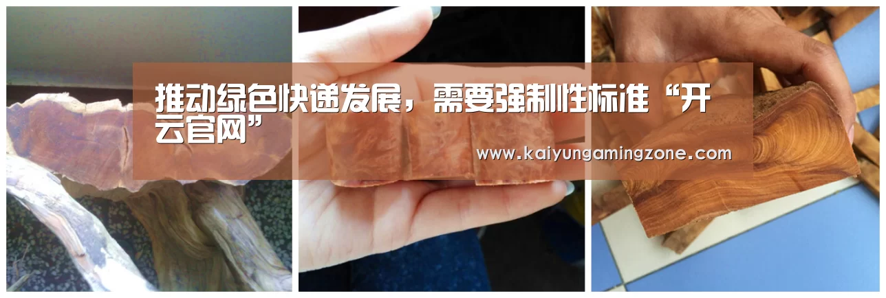 开云下载