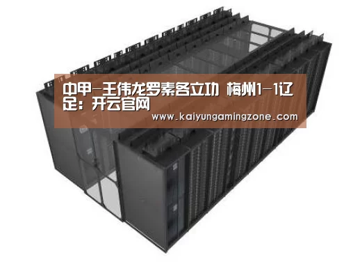 
中甲-王伟龙罗素各立功 梅州1-1辽足：开云官网